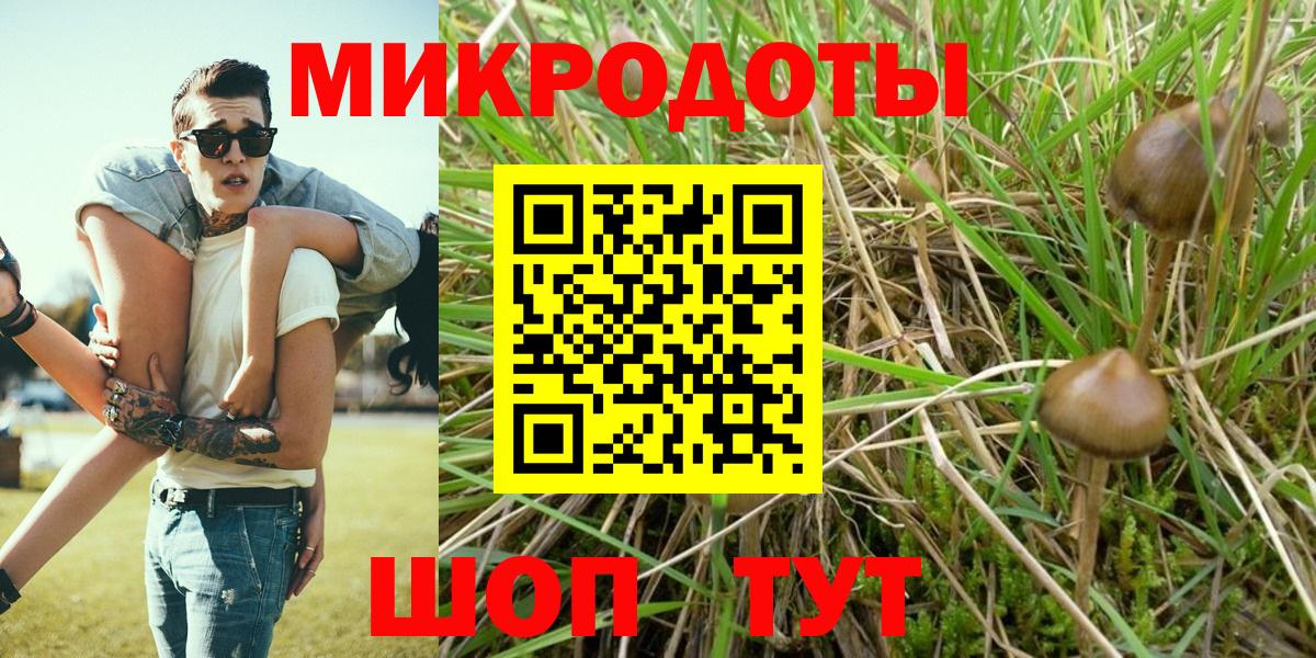Псилоцибиновые грибы Cubensis  Вход с VPN  как найти наркотики  Киров 